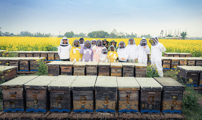 Çin Bee Star-----------Make Your Bees Be Great Star şirket Profili