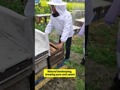 Toptan Satış Yüksek Kalite 100% Doğal Saf Bush Orman Balı Eksi Yok Doğal Arı Balı