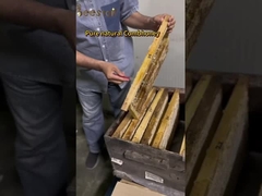 250g Manuka Balı MGO 100+ 100% Saf Yeni Zelanda Manuka Balı Doğal Arı Balı