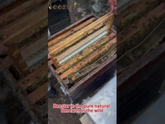 Doğal Tatlı Saf Çiçekli Bal Doğal Arı Bal Organik Polyflower Bal