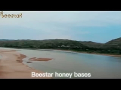 250g Manuka Balı MGO 100+ 100% Saf Yeni Zelanda Manuka Balı Doğal Arı Balı