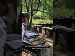 Toptan Satış Yüksek Kalite 100% Doğal Saf Bush Orman Balı Eksi Yok Doğal Arı Balı