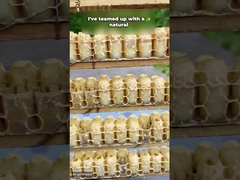 En İyi Fiyat saf taze arı sütü liyofilize toz