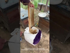 Manuka Balı UMF10+(250g) doğal arı balı Yeni Zelanda'dan saf çiğ bal