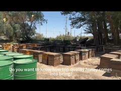 Saf Taze Çay Poleni Doğal Arı Gıdaları Fabrikası Doğrudan Satış