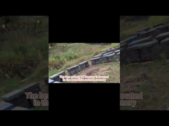 Doğal Çok Çiçekli Arı Polen Granülleri 25kg Toplu Gıda Sınıfı