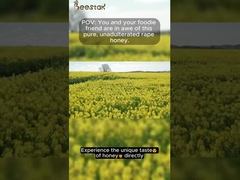 %100 Saf Ham Bal Doğal Kolza Balı Doğal Arı Balı Katkı Maddesi İçermez Sağlıklı Gıda