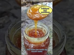 500g Doğal Petek Bal Çok Çiçekli Açık Sarı Gıda Sınıfı, Lezzetli ve sağlıklı