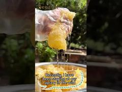 %100 Doğal Bal Saf Ham Bal Sağlıklı Gıda Toptan Satış İçin Doğal Arı Balı