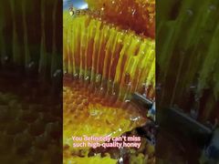 Ham Balı Doğal Arı Balı Doğal arı kovanından günlük bakım Doğal Arı Balı