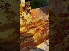 Hiç dünyanın en zarif, el değmemiş tatlılığının gerçekte nasıl bir şey olduğunu merak ettiniz mi?