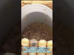 Kraliyet jölesinin nasıl toplandığını biliyor musun?