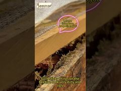 Propolis, günlük sağlık bakımı ve düzenleme için uygundur. O, 