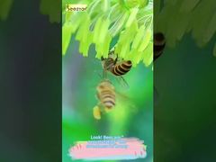 Şu akan dokuya bakın. Bu gerçekten de doğanın 