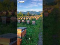 Tüm dağ manzarası, damak ucunda tatlı ve ferahlatıcı bir lezzete dönüştü.