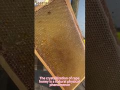 Daha Yakından Bakış: Katkısız Toplu Kar Kremi Balı Kristalleşmesi Bal Kristal Balı Doğal Bal