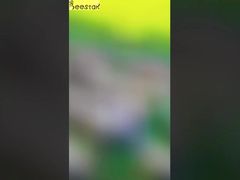 Sizin İçin Saf Doğal Beyaz Krem Bal Kar Kremi Bal Tanıtımı