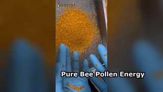 Saf Arı Poleni Doğal Enerji Artırıcı