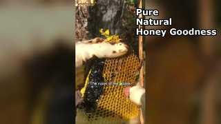 Siyah Bal Neden Kileriniz İçin En İyi Süper Gıdadır?