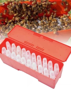 satın al Kraliçe arı yetiştirme sistemi için kırmızı plastik kraliçe arı kafesi arıcılık ana arı kafesi Çevrimiçi üretim