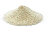 Saf Organik Taze Arı Sütü Liyofilize Toz %5,5 10-HDA Bal Arısı Ürünleri