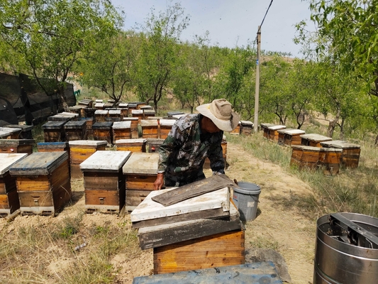 Adı